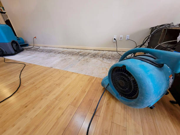 Professional Ceiling Water Damage Repair technician working in Floodwood, MN